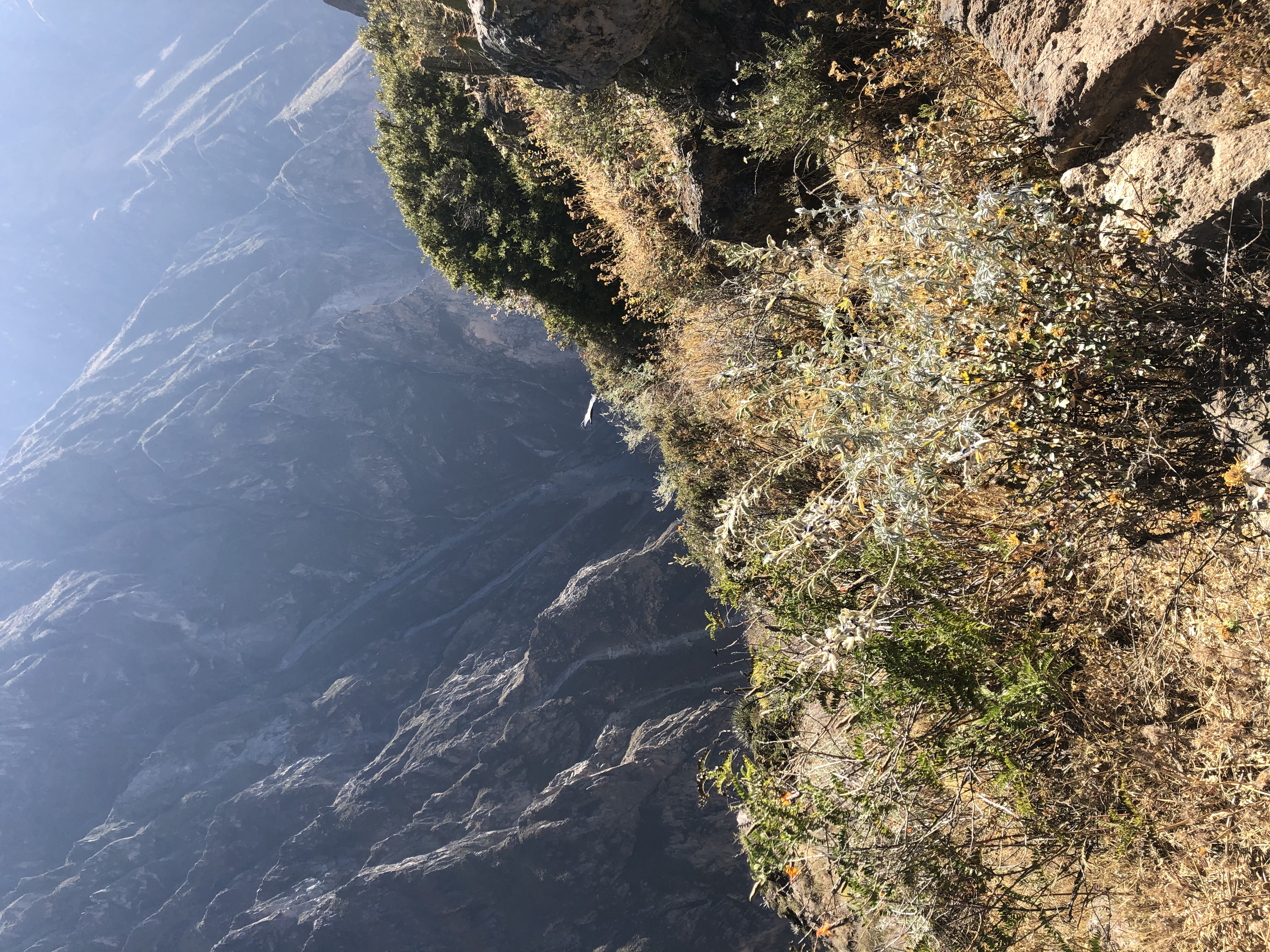Trek Colca Canyon
