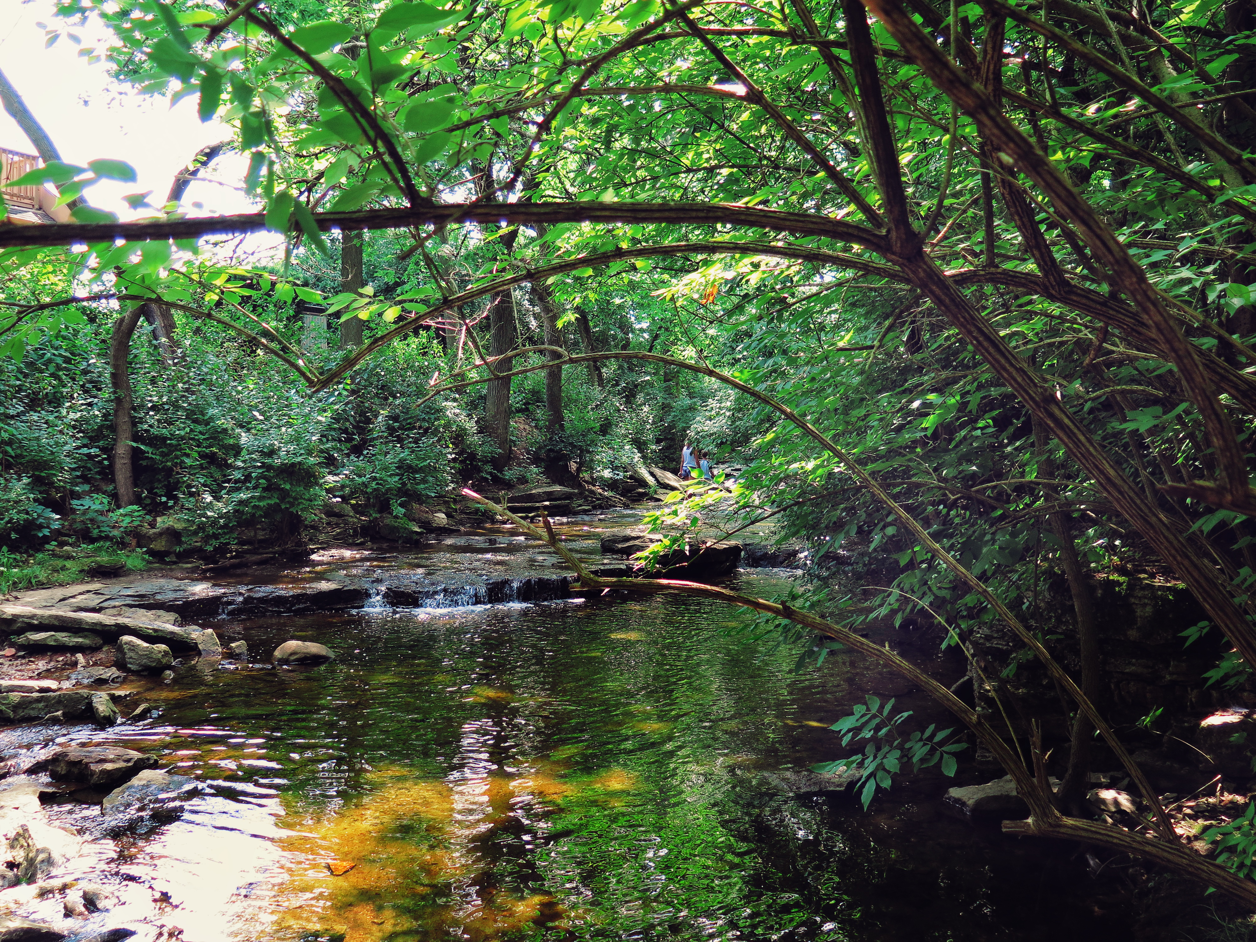 Photograph Indian Run Falls