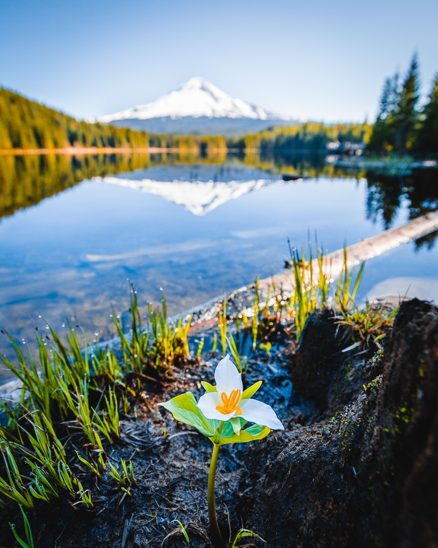 Trillium Lake