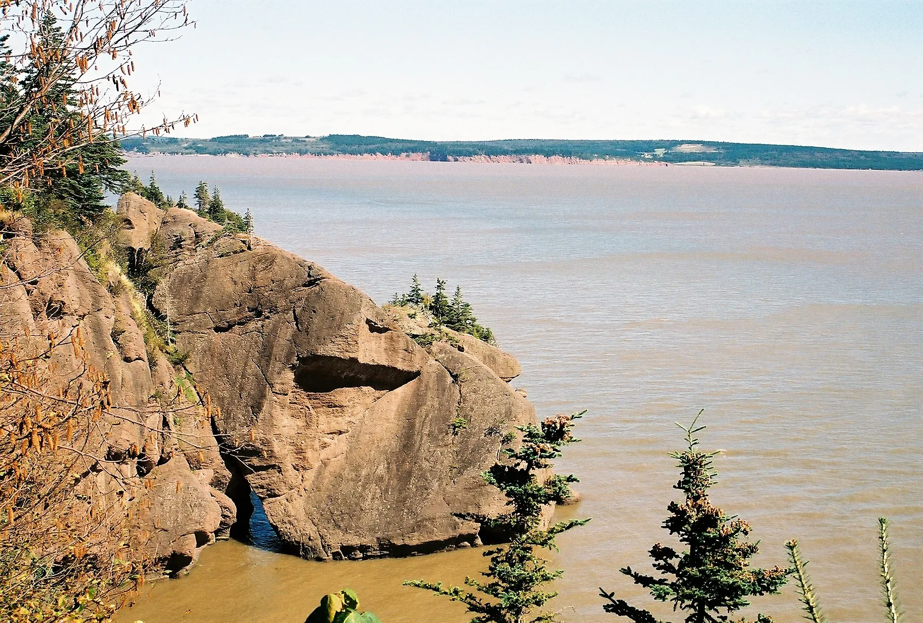 Explore Hopewell Rocks Park