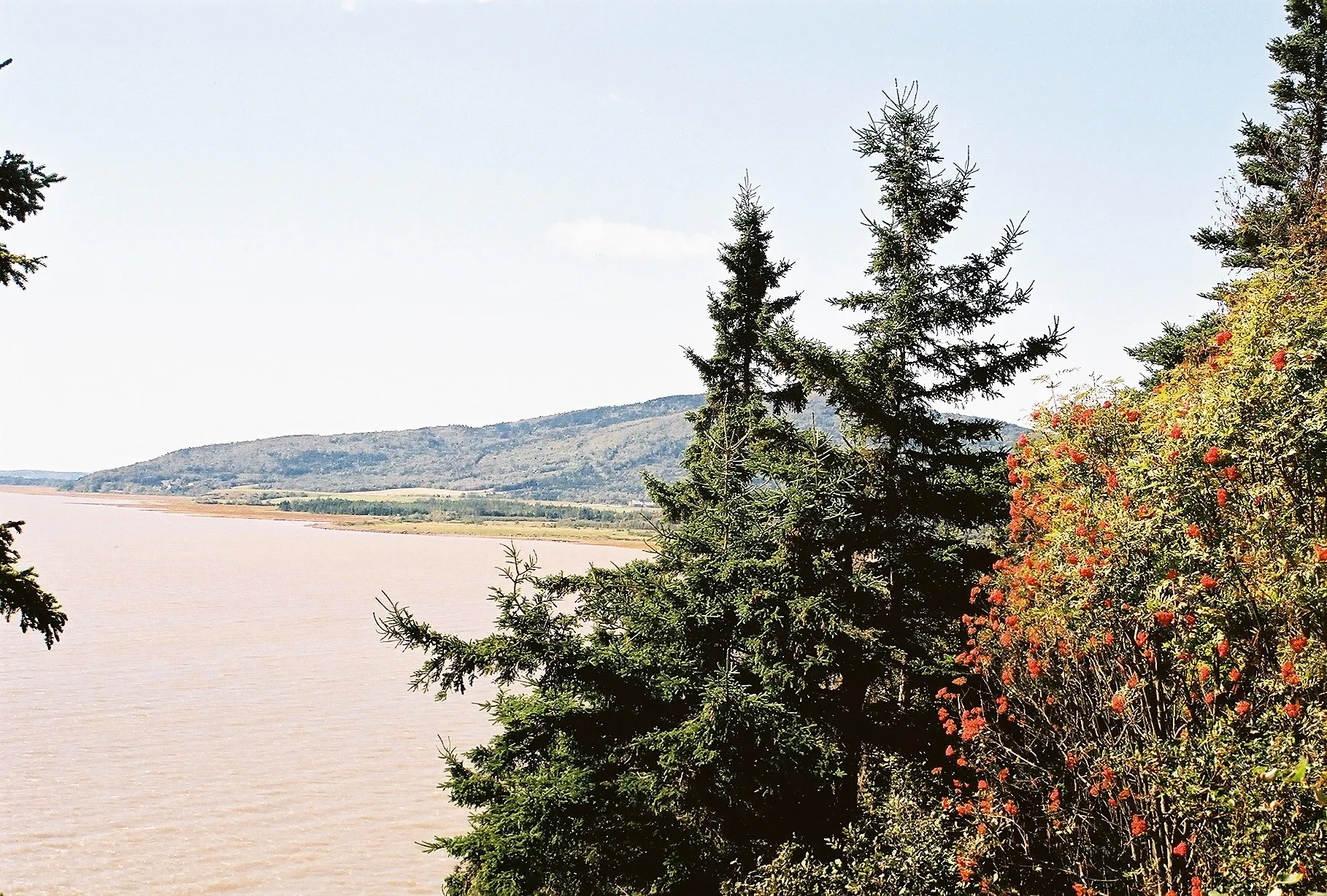 Explore Hopewell Rocks Park