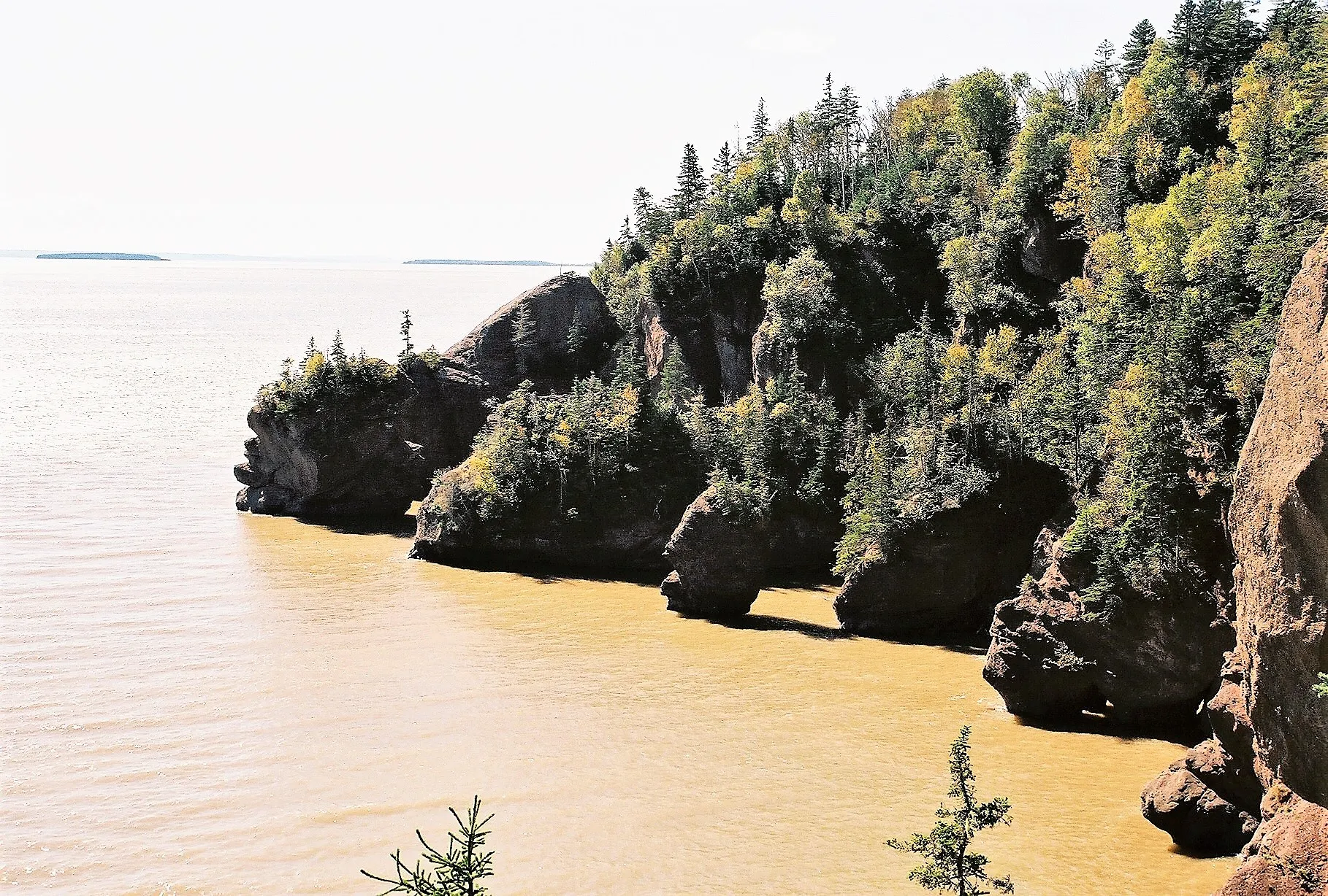 Explore Hopewell Rocks Park