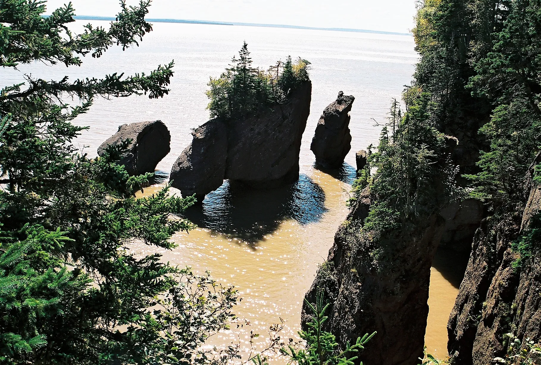 Explore Hopewell Rocks Park