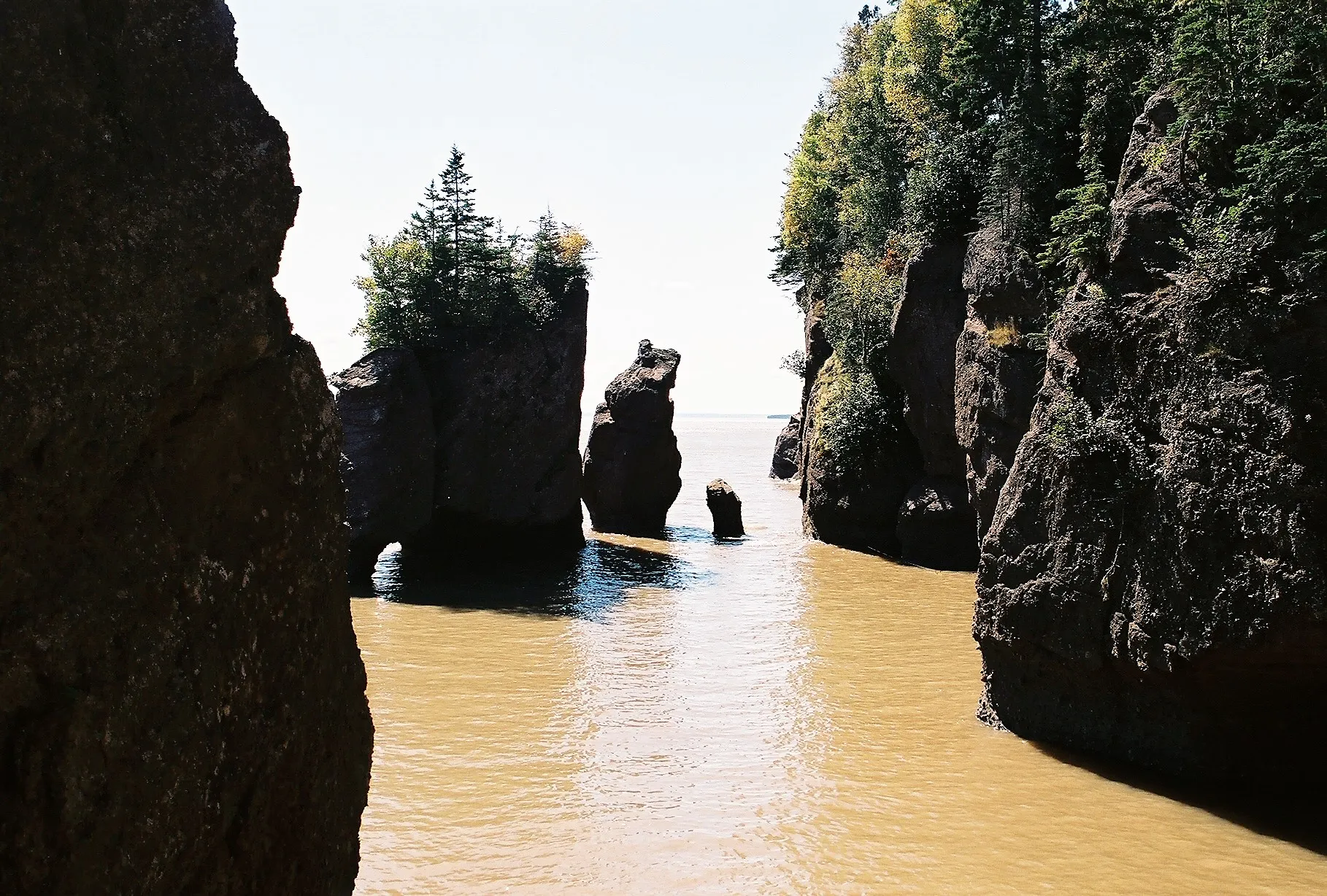 Explore Hopewell Rocks Park