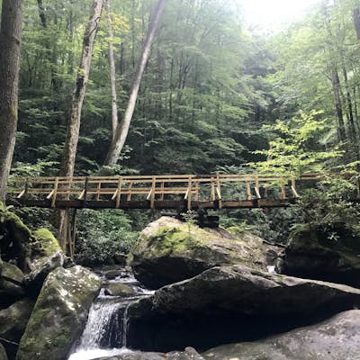 Backpack to  Angel Falls Overlook in the Big South Fork