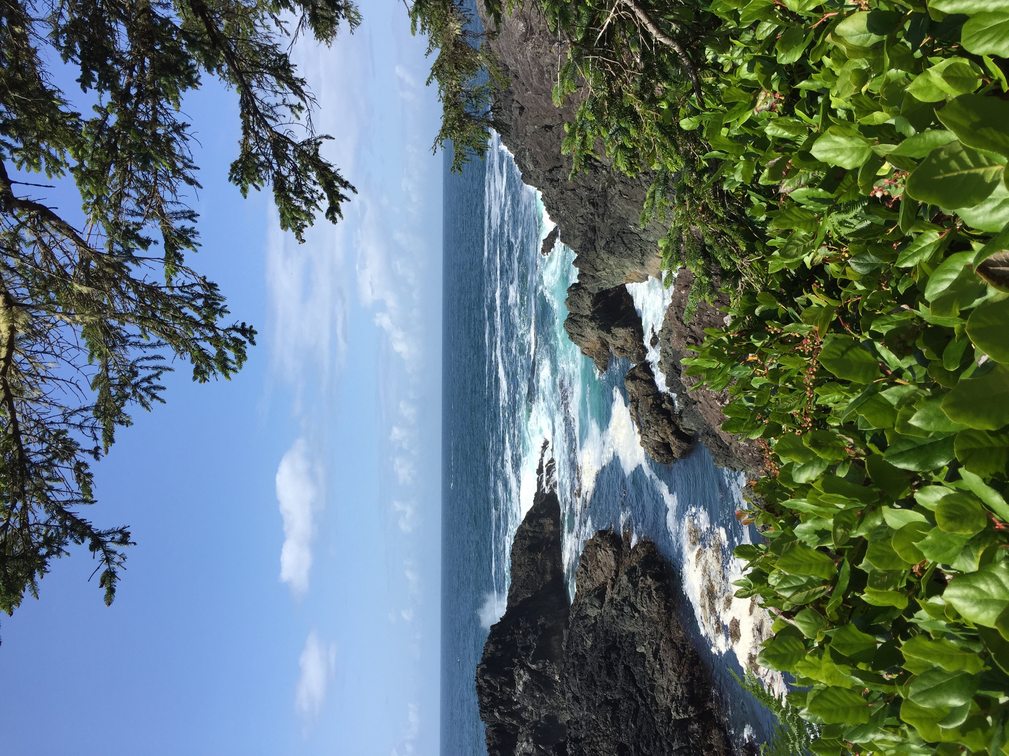 Hike the Wild Pacific Trail