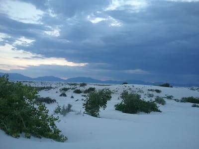 Dune Life Nature Trail