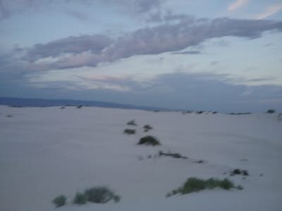 Dune Life Nature Trail