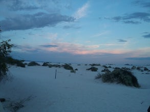 Dune Life Nature Trail