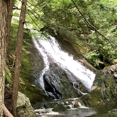 Hike to Thundering Brook Falls