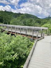 Hike to Thundering Brook Falls