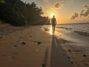 Camp at Anini Beach Park