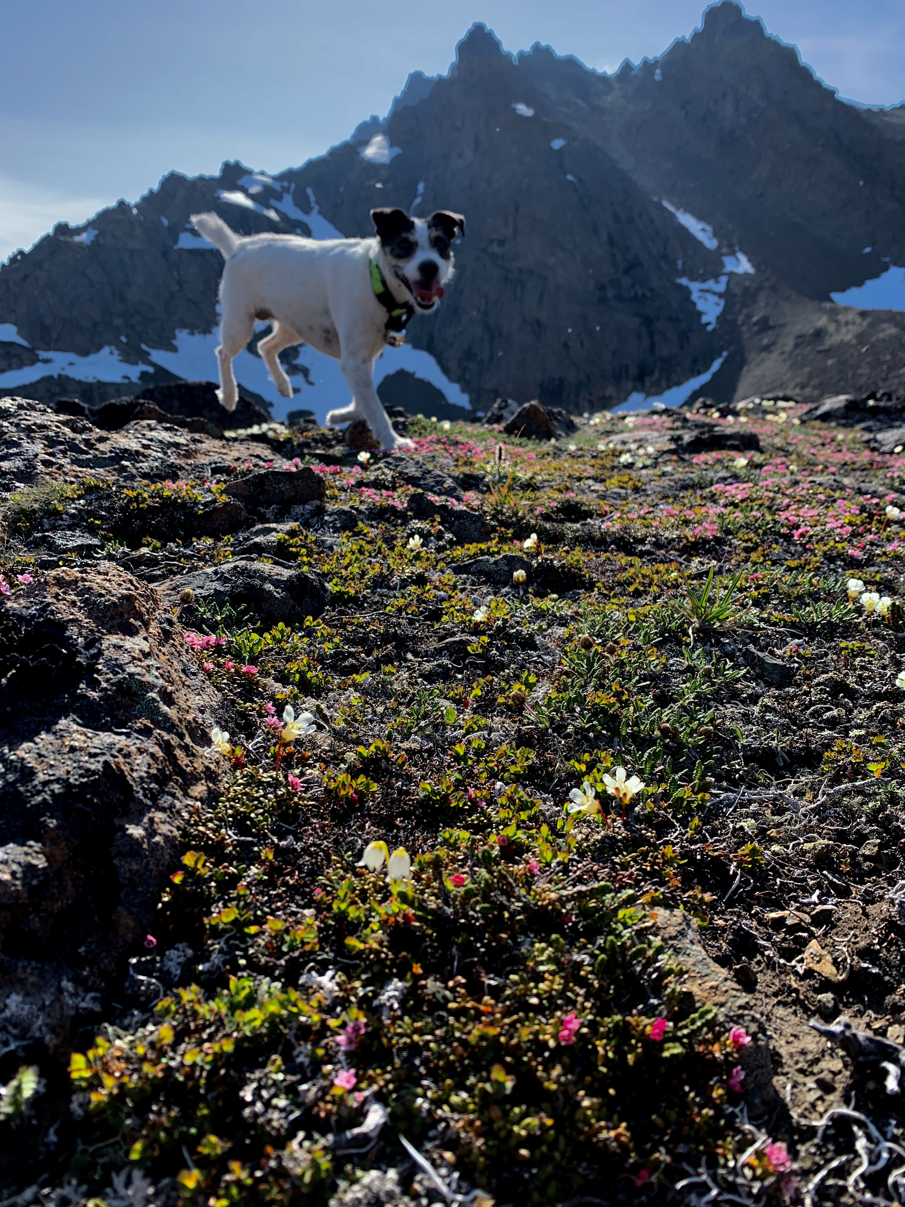 Hike O'Malley Peak