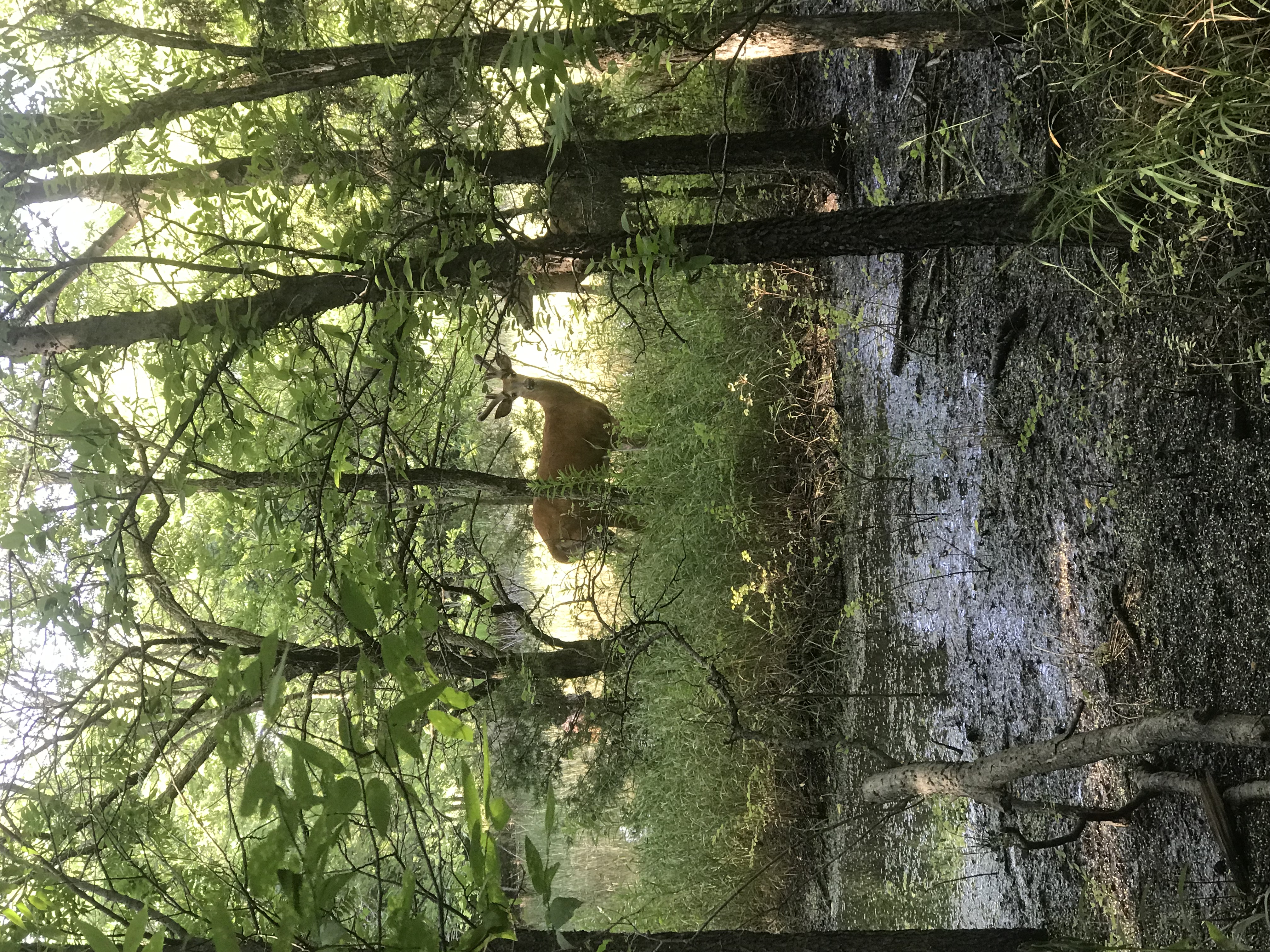 Run through Bluff Creek Park in Oklahoma City