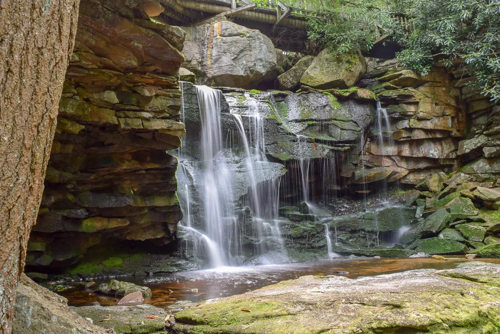 Explore Elakala Falls