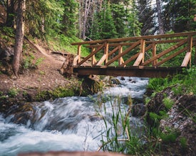 Hike the Sawmill Trail to Fairy Forest