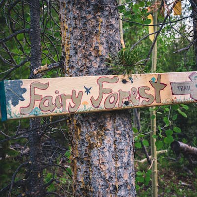 Hike the Sawmill Trail to Fairy Forest