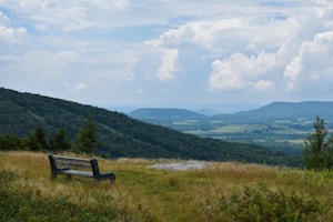 Dolly Sods Wilderness North Loop via Rocky Ridge Trail