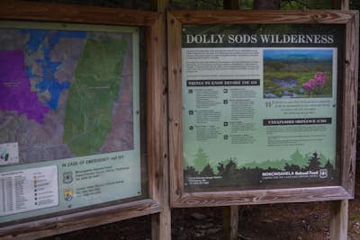 Dolly Sods Wilderness North Loop via Rocky Ridge Trail
