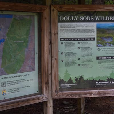 Hike the Dolly Sods Wilderness North Loop via Rocky Ridge Trail