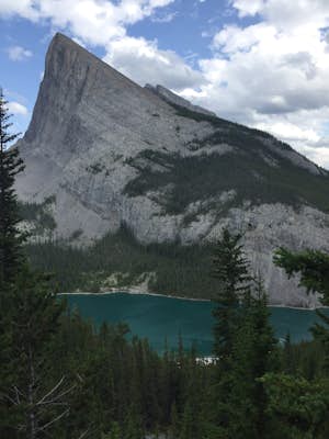 East End of Rundle Scramble