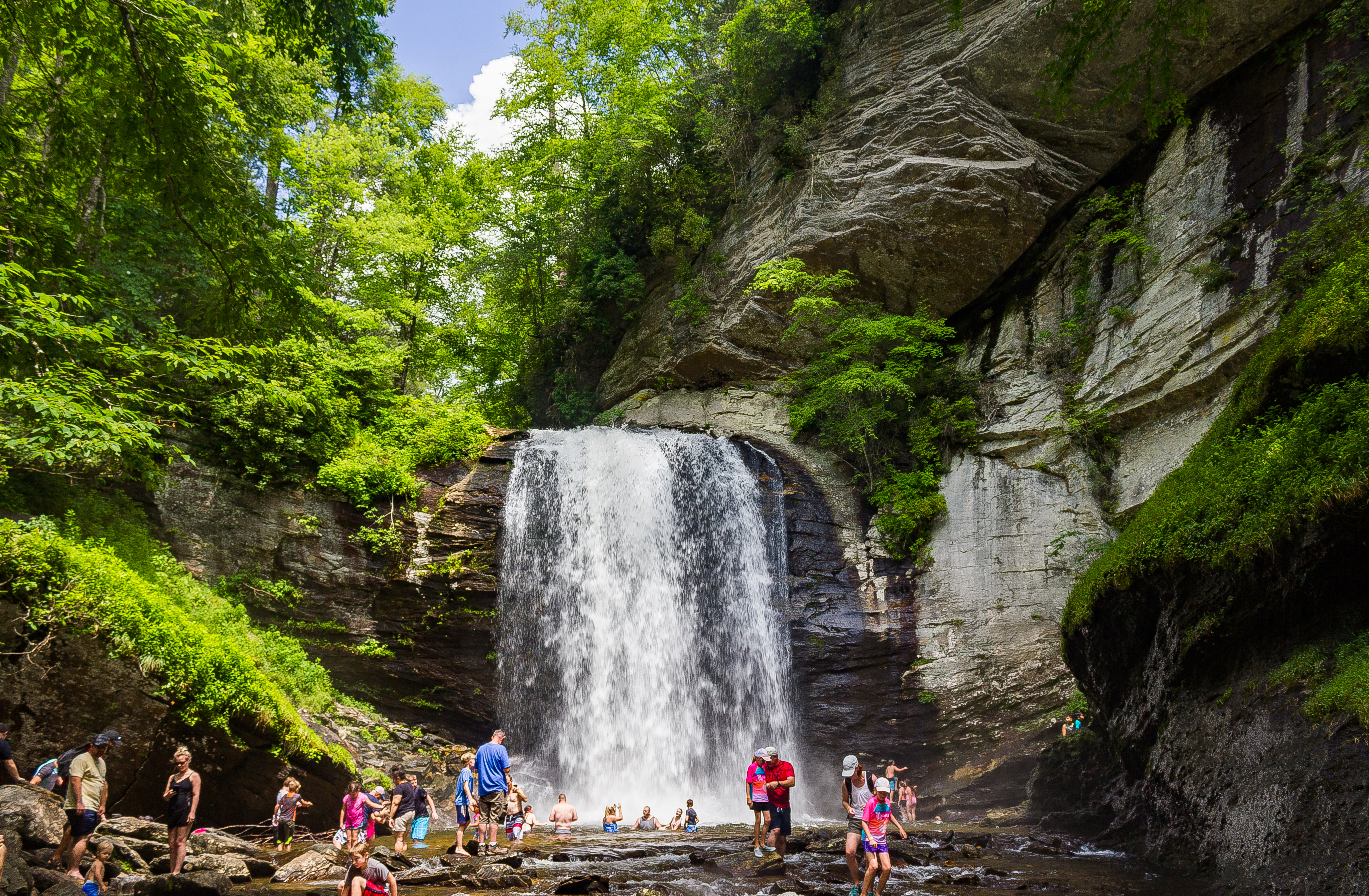 Looking Glass Falls