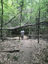 Hike the Millennium Trail, Bernheim Arboretum and Research Forest