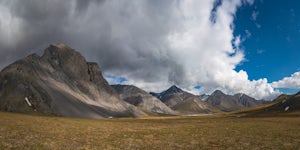 North by Northwest: The Perfect Alaskan Adventure