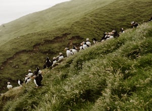 Exploring The Islands Of Mykines In The Faroe Islands