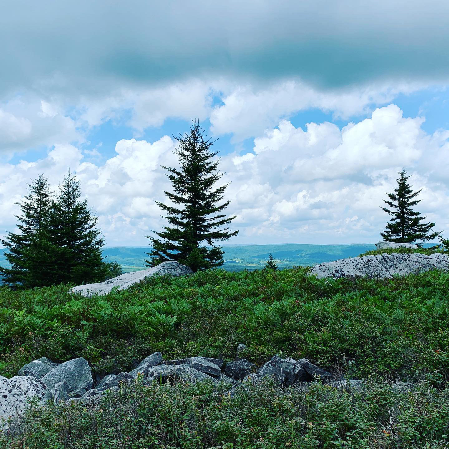 Bear Rocks Loop