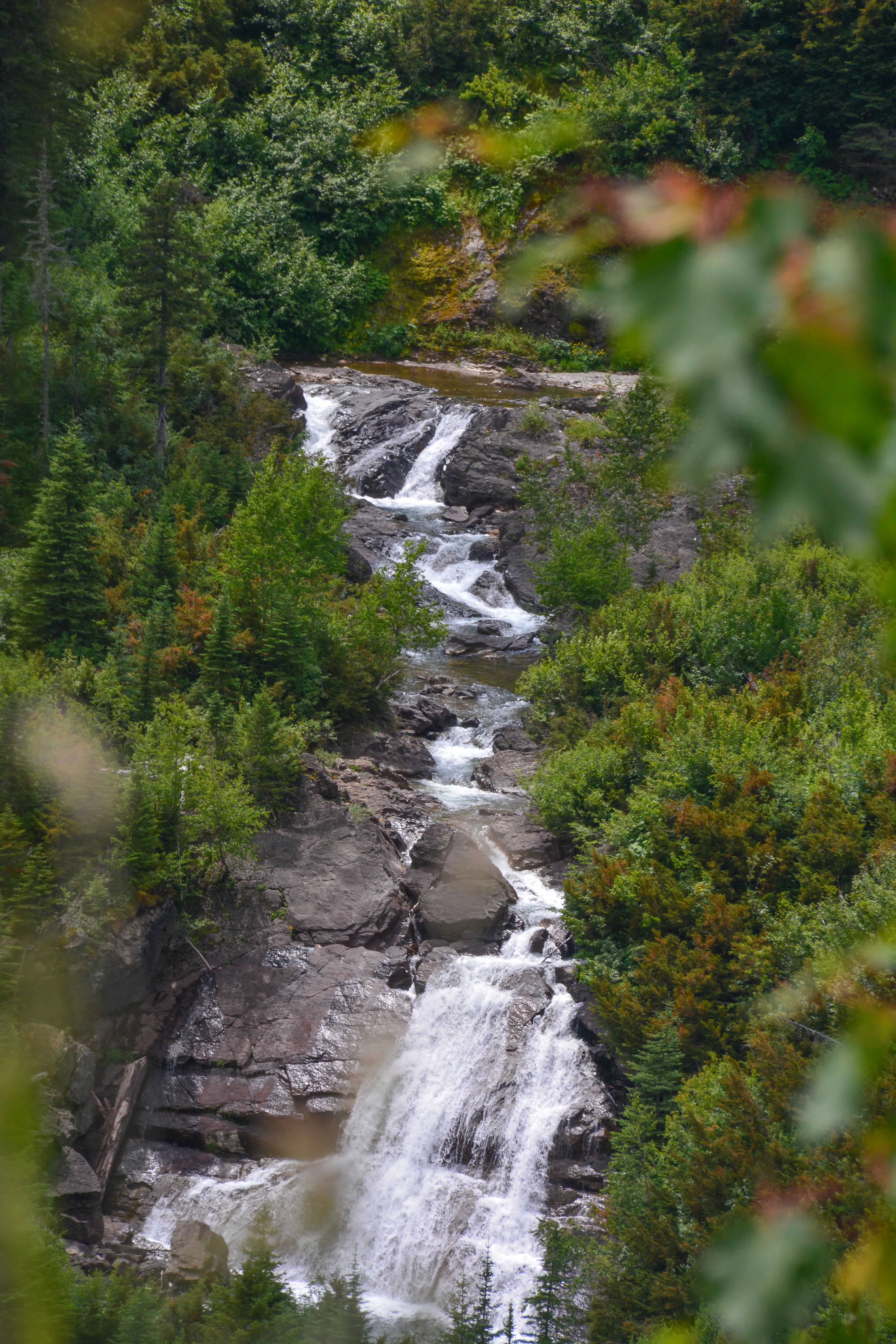 Explore Graves Creek Falls
