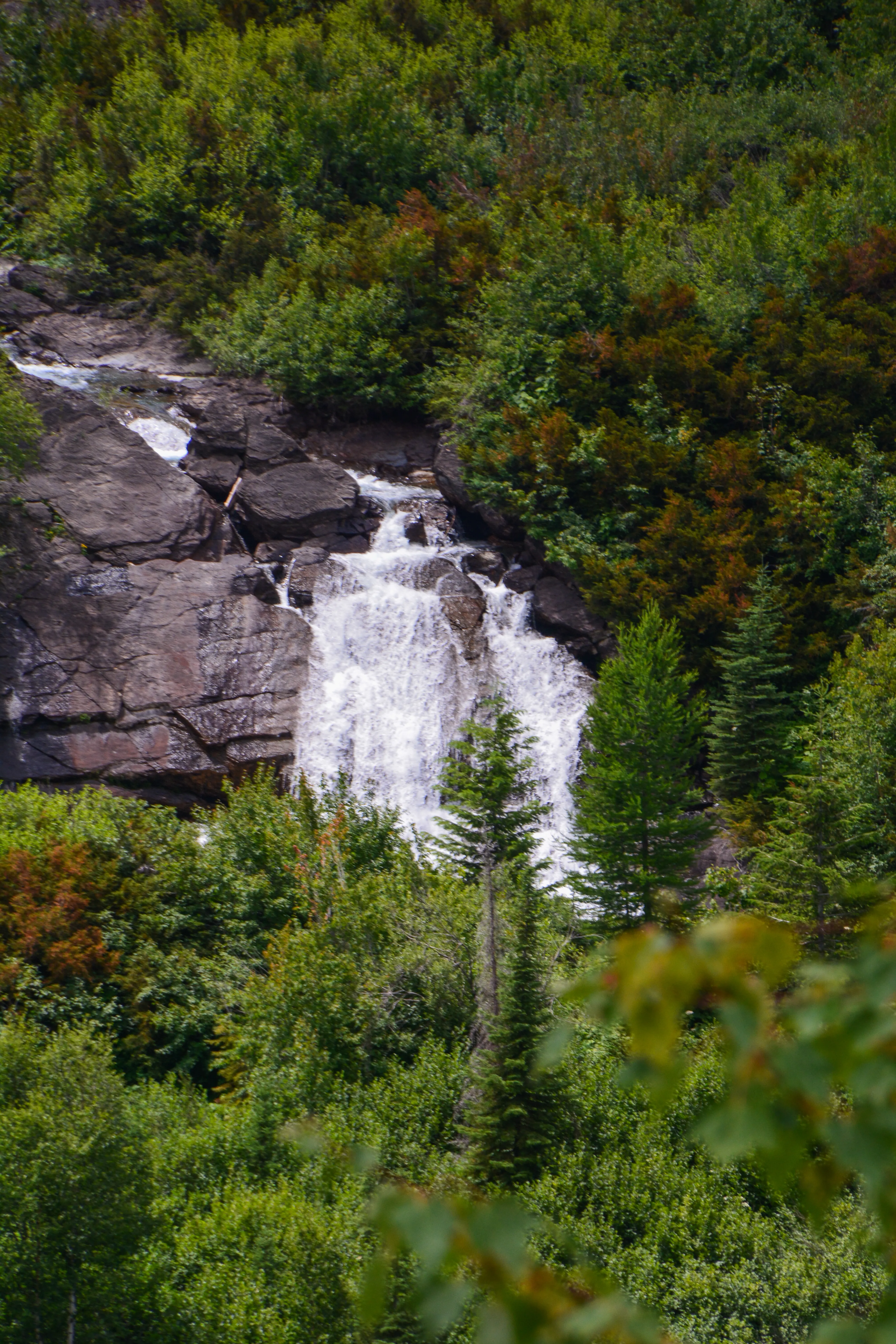 Explore Graves Creek Falls