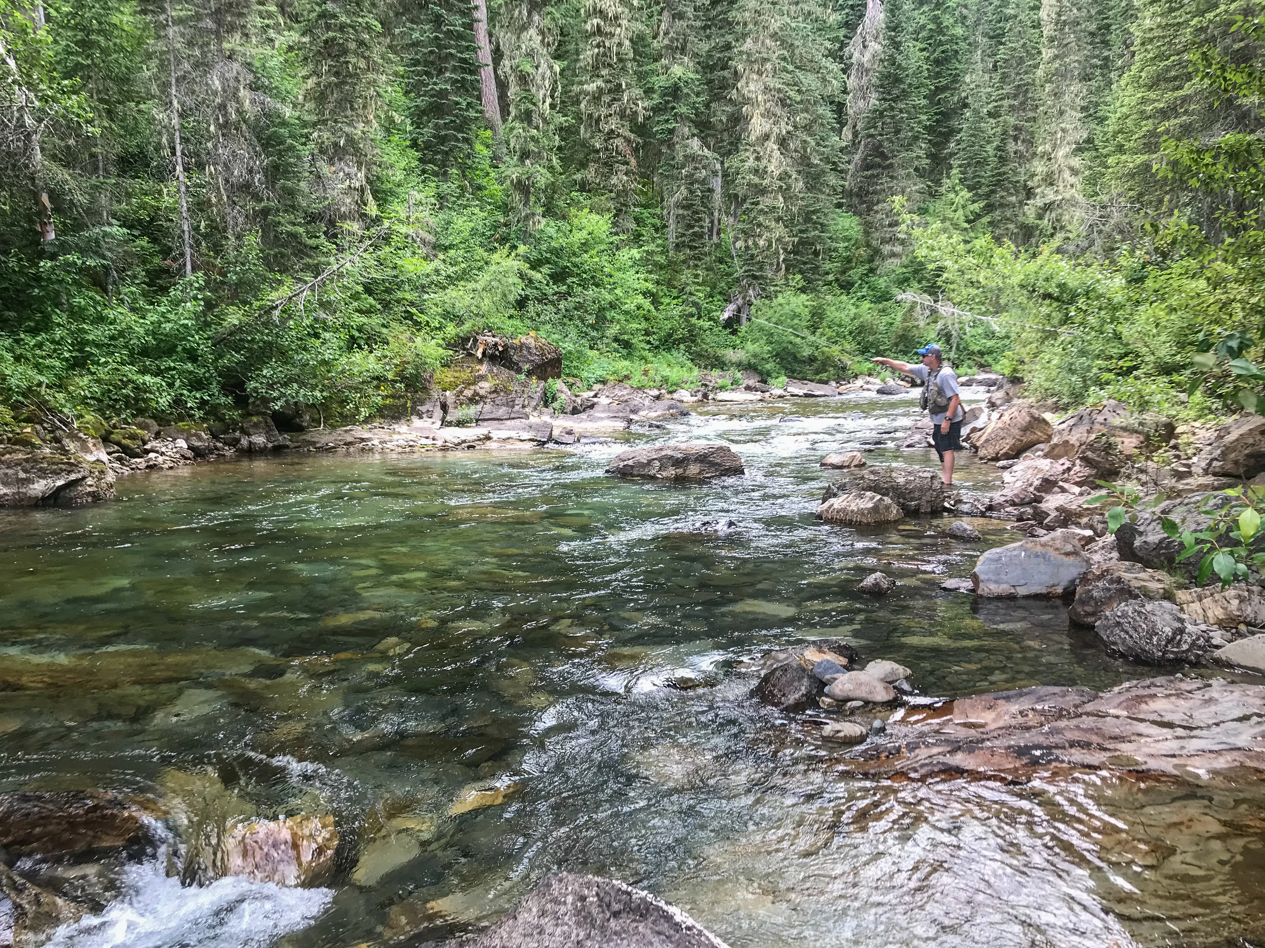 Explore Graves Creek Falls