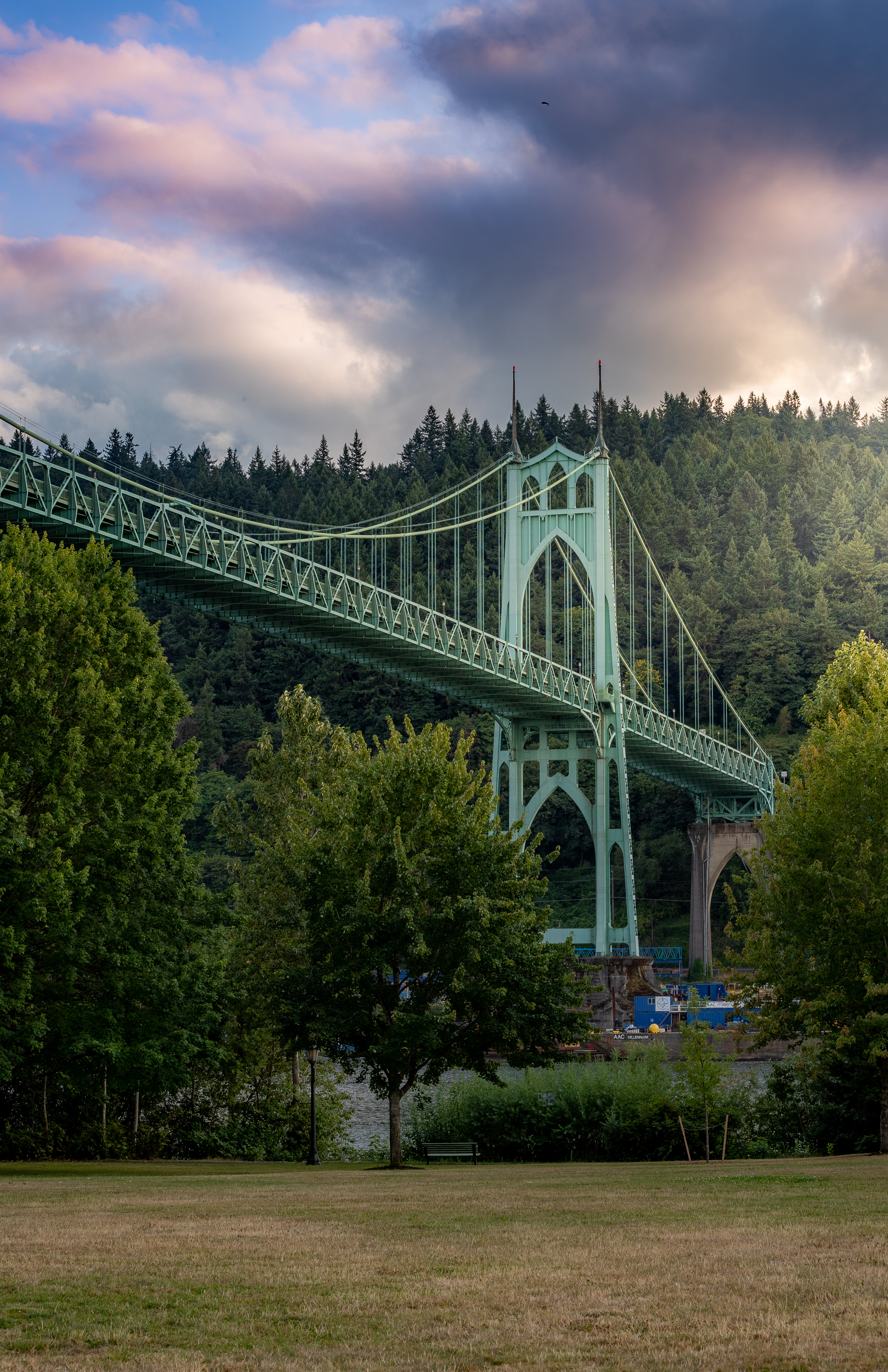 Explore Cathedral Park