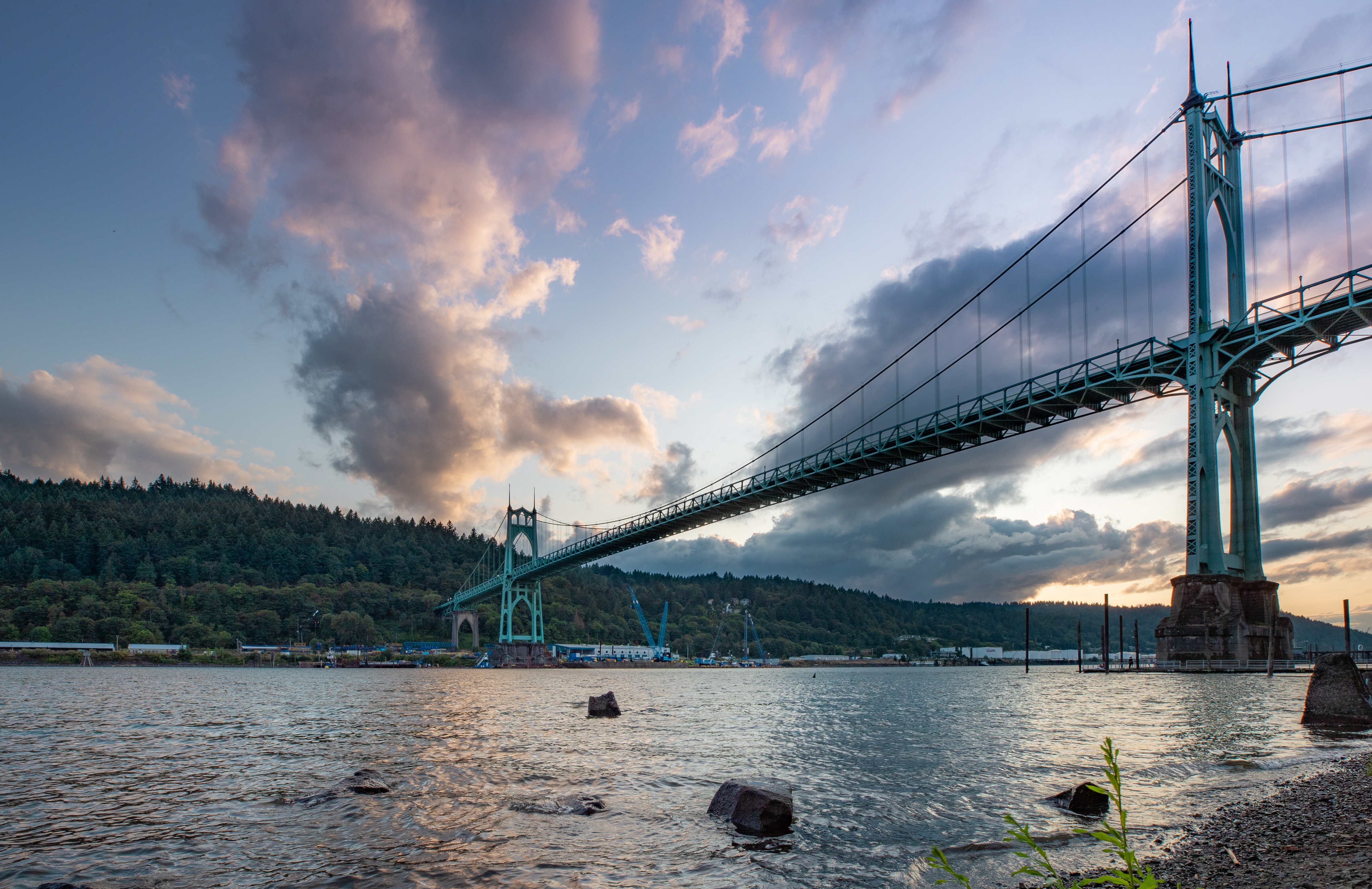 Explore Cathedral Park