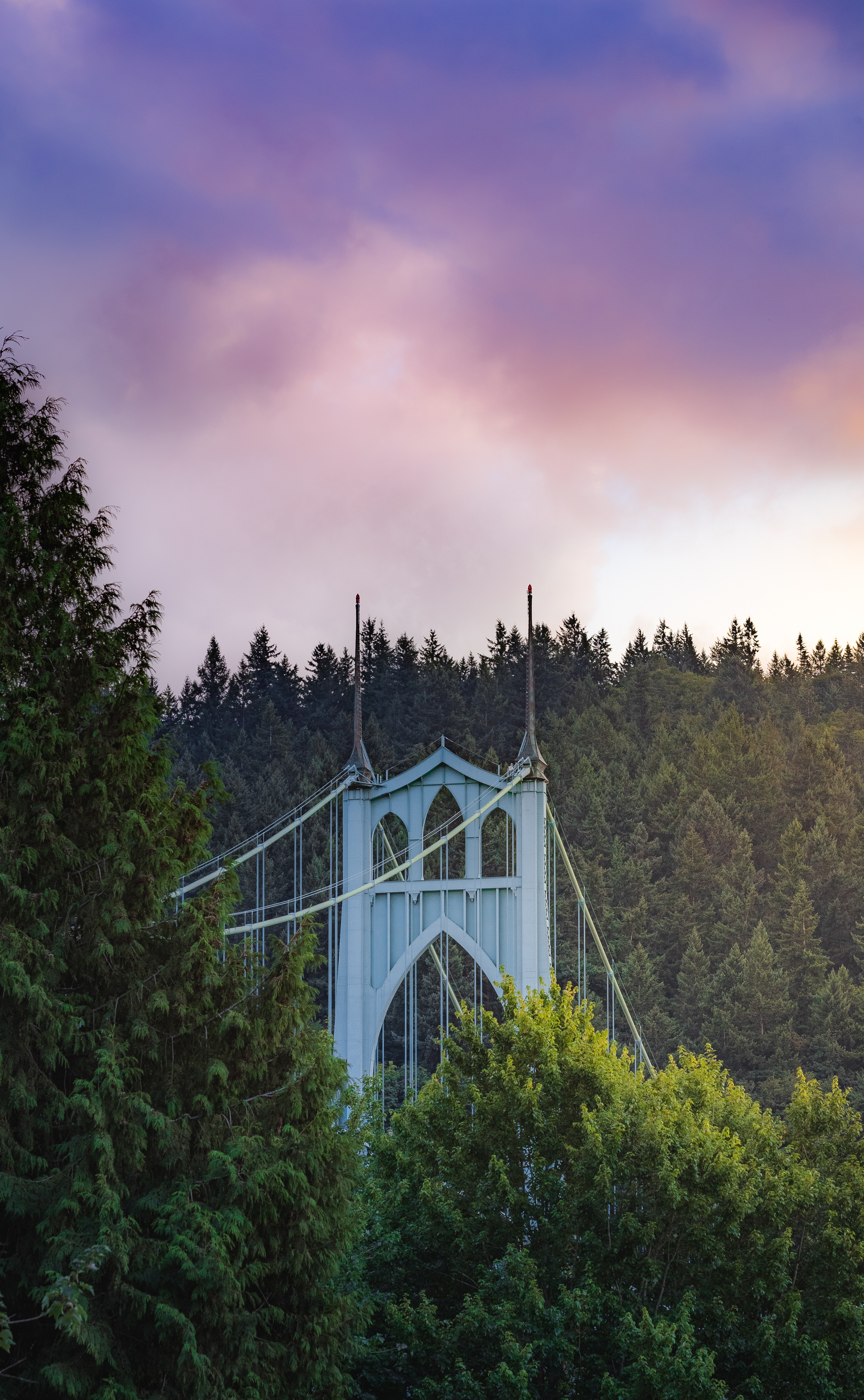 Explore Cathedral Park