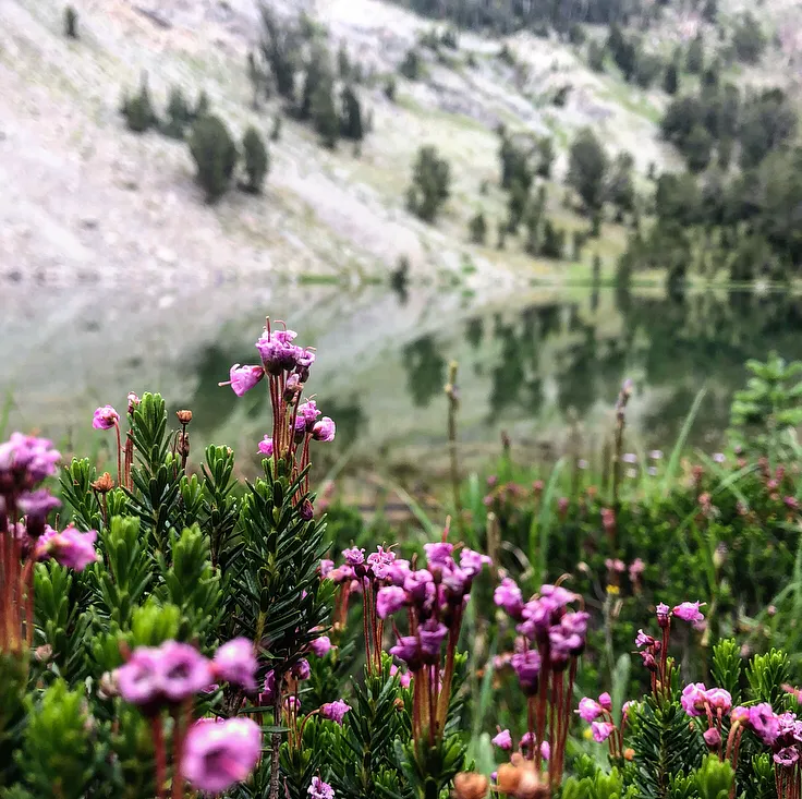 Hike to Norton Lakes