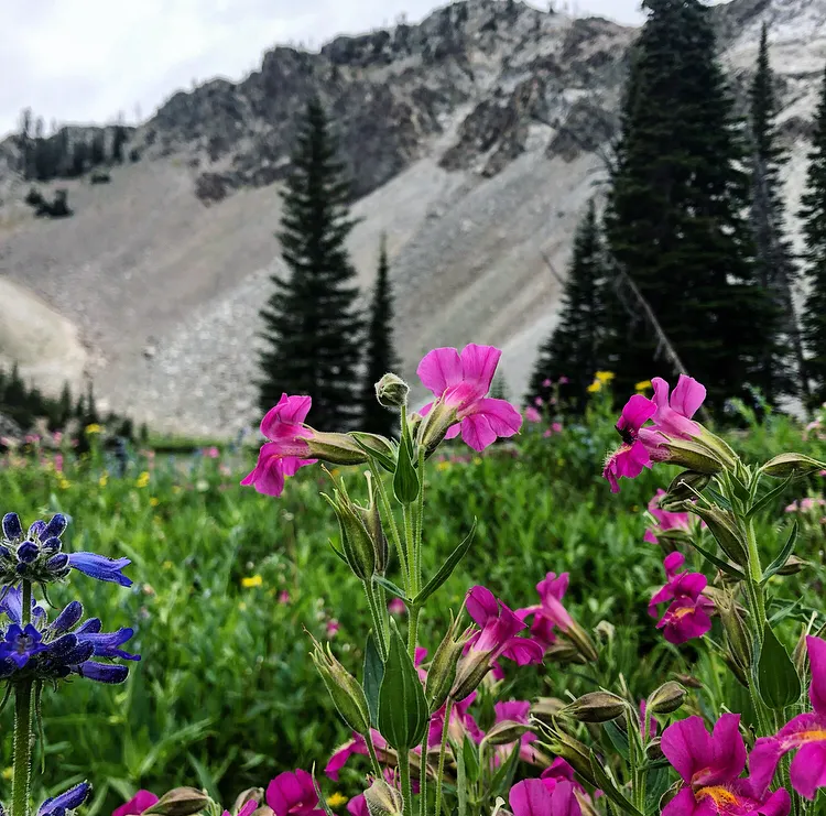 Hike to Norton Lakes