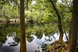 Hike to Big Shoals via Florida Trail