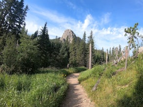 Black Elk Peak-Nic