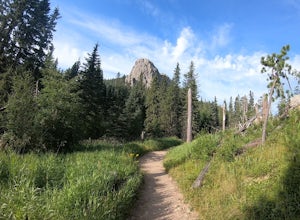 Black Elk Peak-Nic