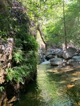 Harding Falls Trail 