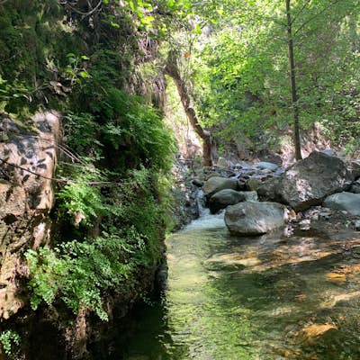 Harding Falls Trail 
