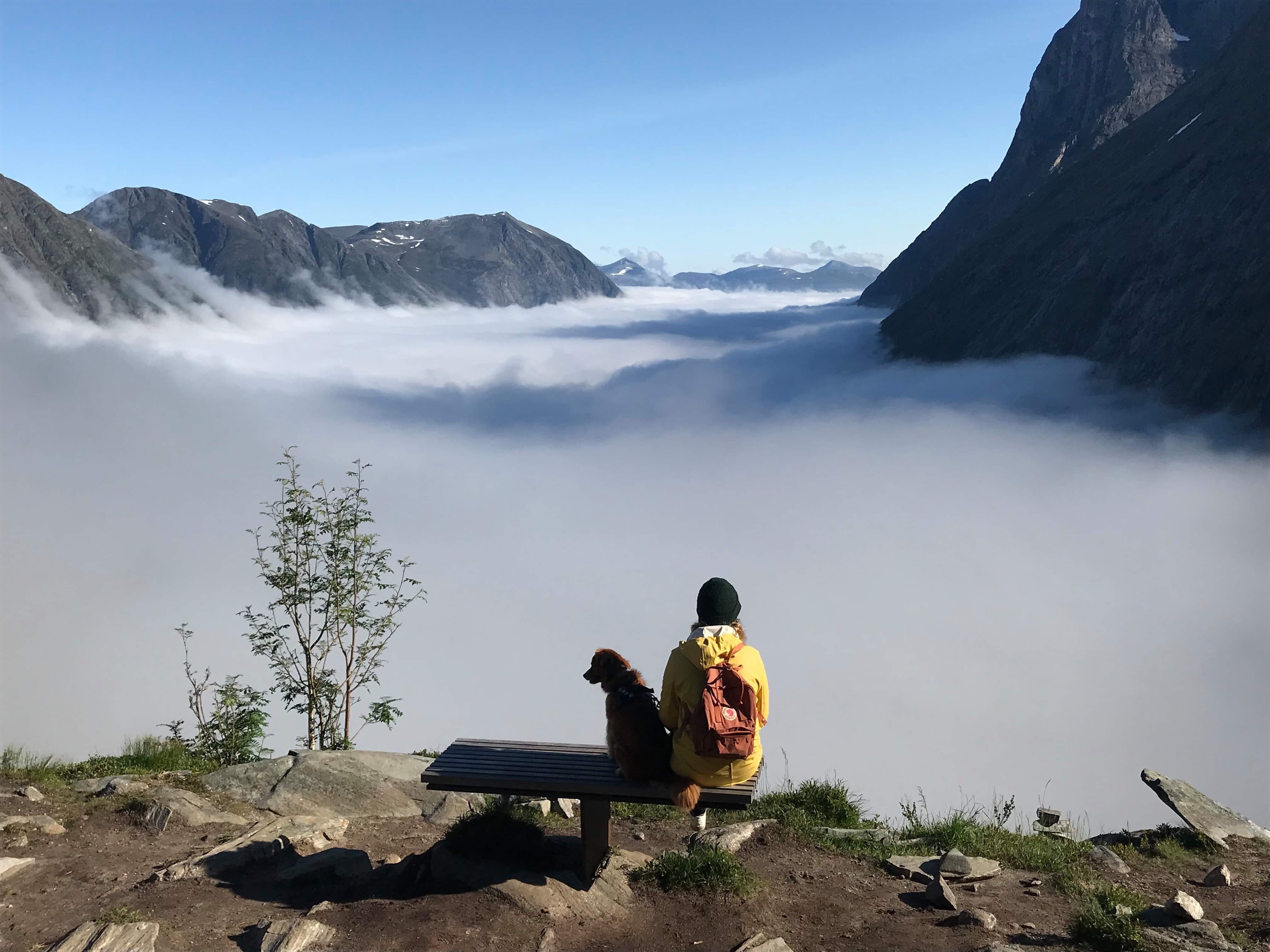 Explore the Trollstigen