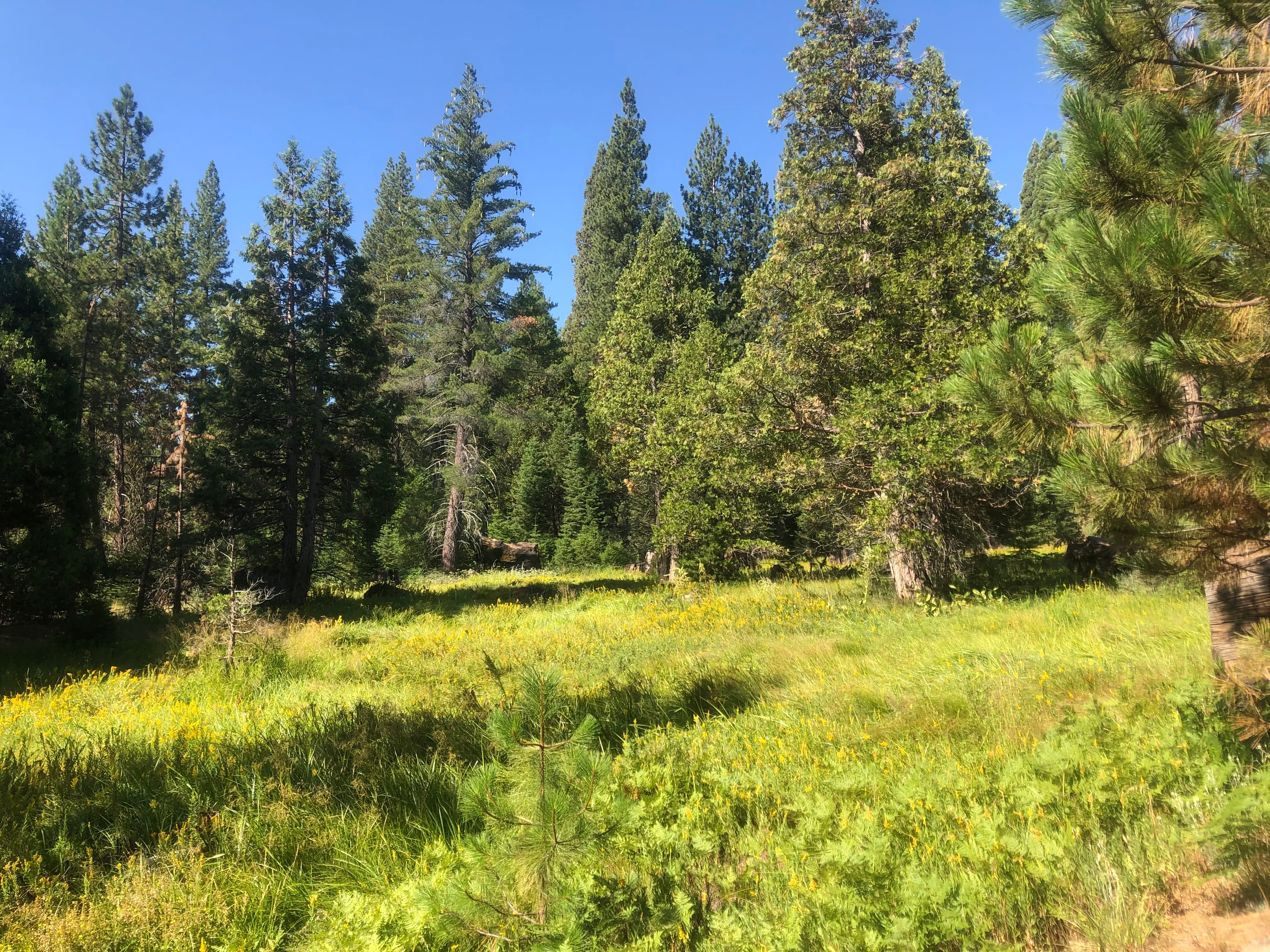 Camp at Princess Campground