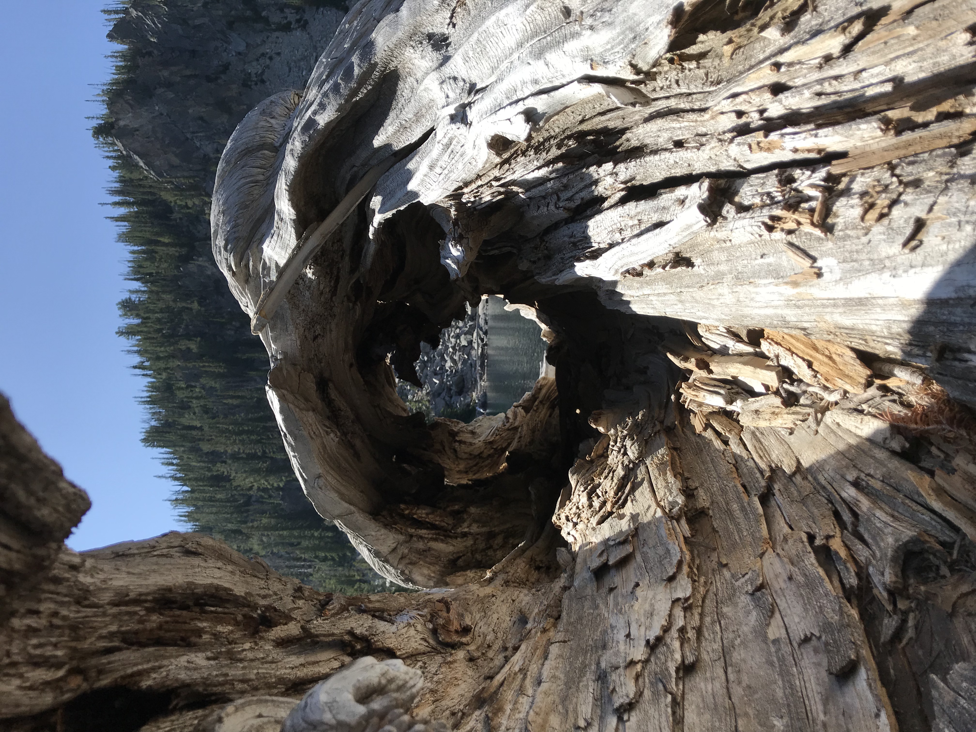 Bench Lakes Trail