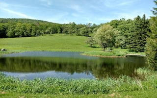 Dry Brook Ridge Meadow