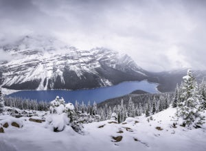 An Early June Photography Tour of the Canadian Rockies