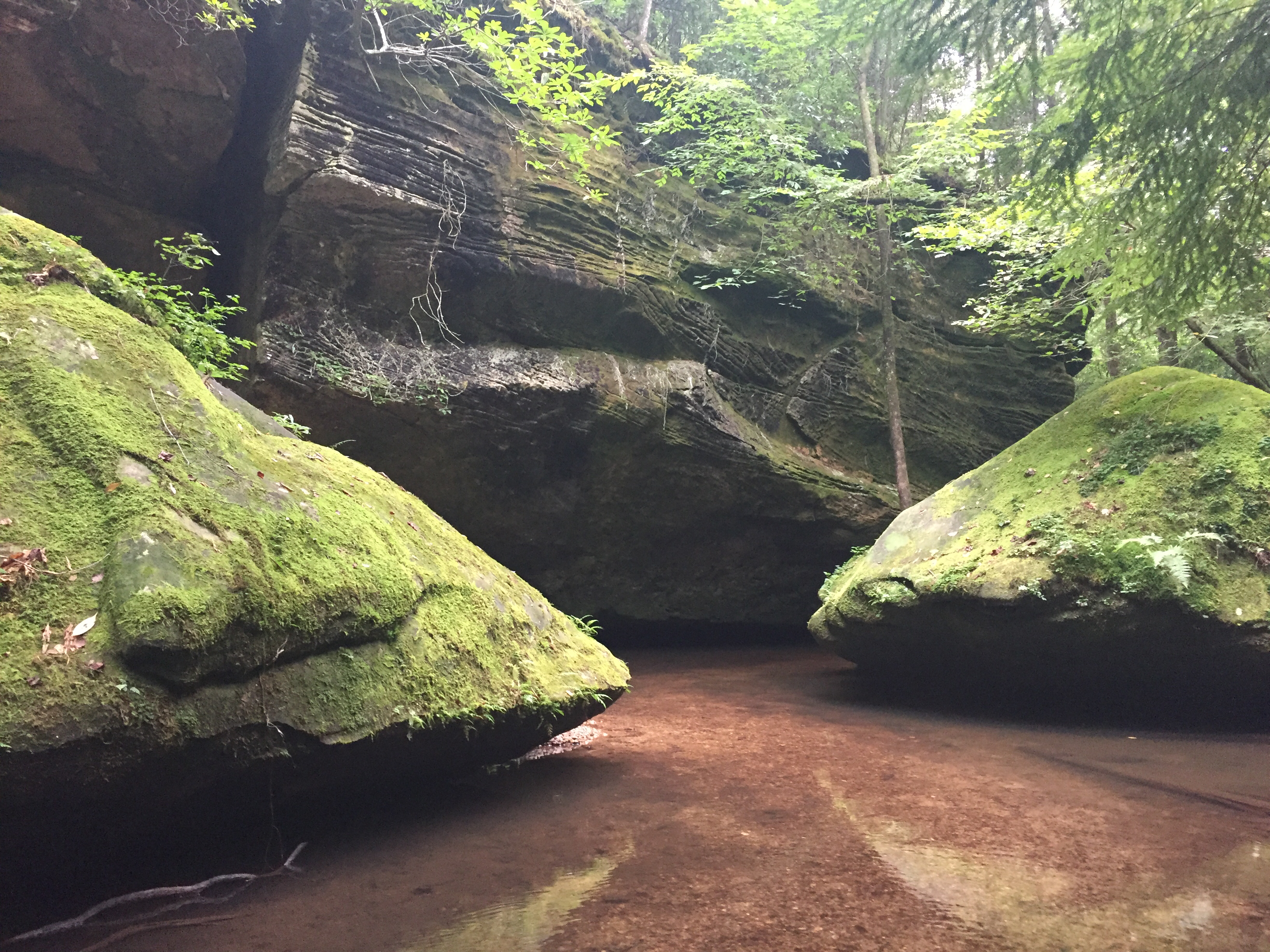 Hike to Dismals Canyon Falls