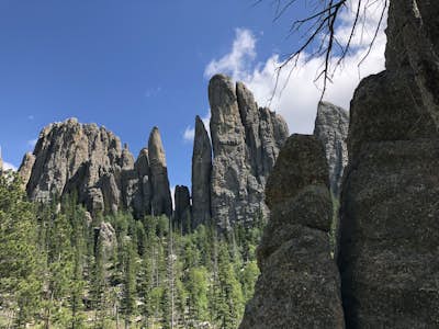 Cathedral Spires in the Black Hills